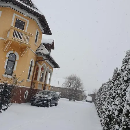 Pensiunea Onix Guest house Fagaras