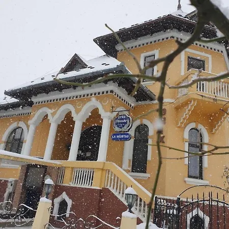 Pensiunea Onix Guest house
