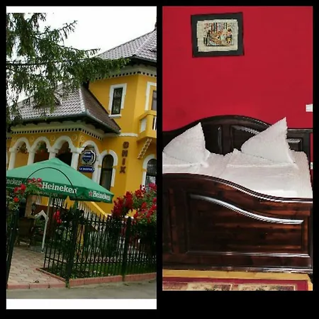 Pensiunea Onix Guest house