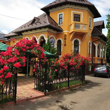 Pensiunea Onix Guest house 2*