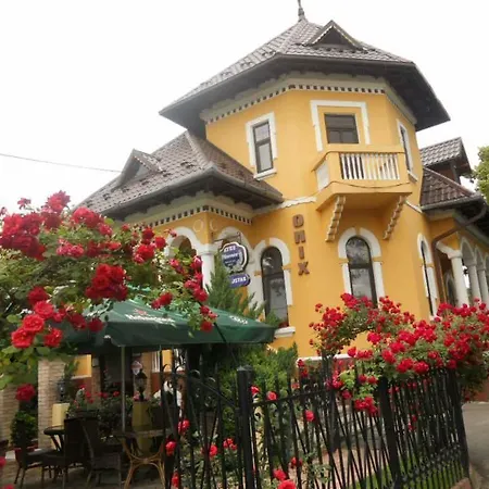 Guest house Pensiunea Onix Fagaras