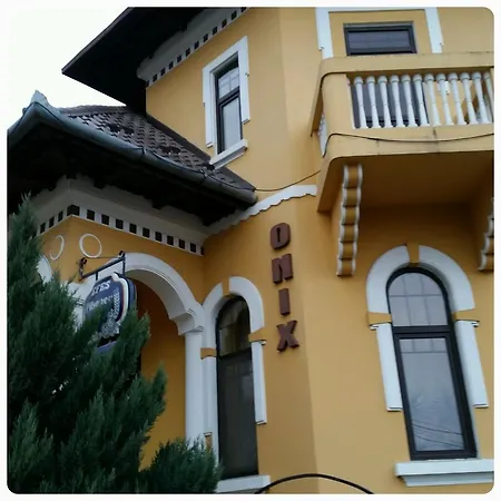 Pensiunea Onix Guest house Fagaras