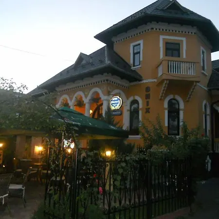 Pensiunea Onix Guest house 2*