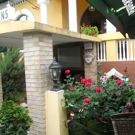Pensiunea Onix Guest house