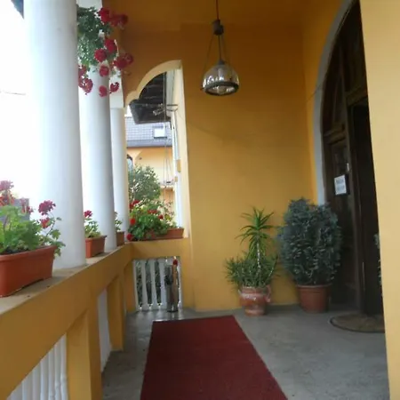 Pensiunea Onix Guest house