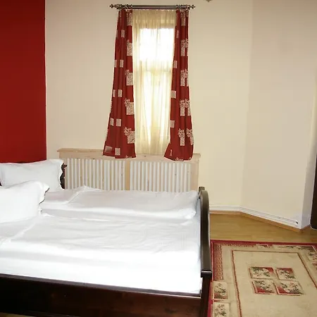 Guest house Pensiunea Onix 2*