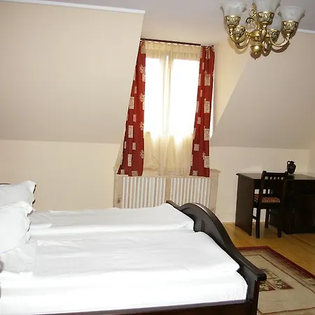 Guest house Pensiunea Onix Fagaras