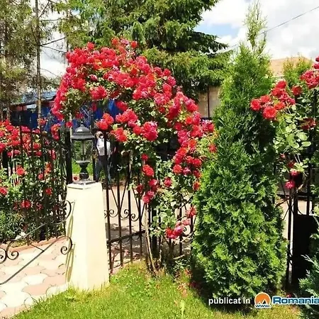 Pensiunea Onix 2* Fagaras